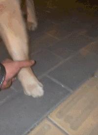 女厕的诡异之处,女厕所发现怪异男尸