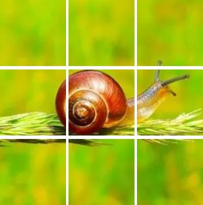 excel找九宫格图表,excel如何制作九宫格图片