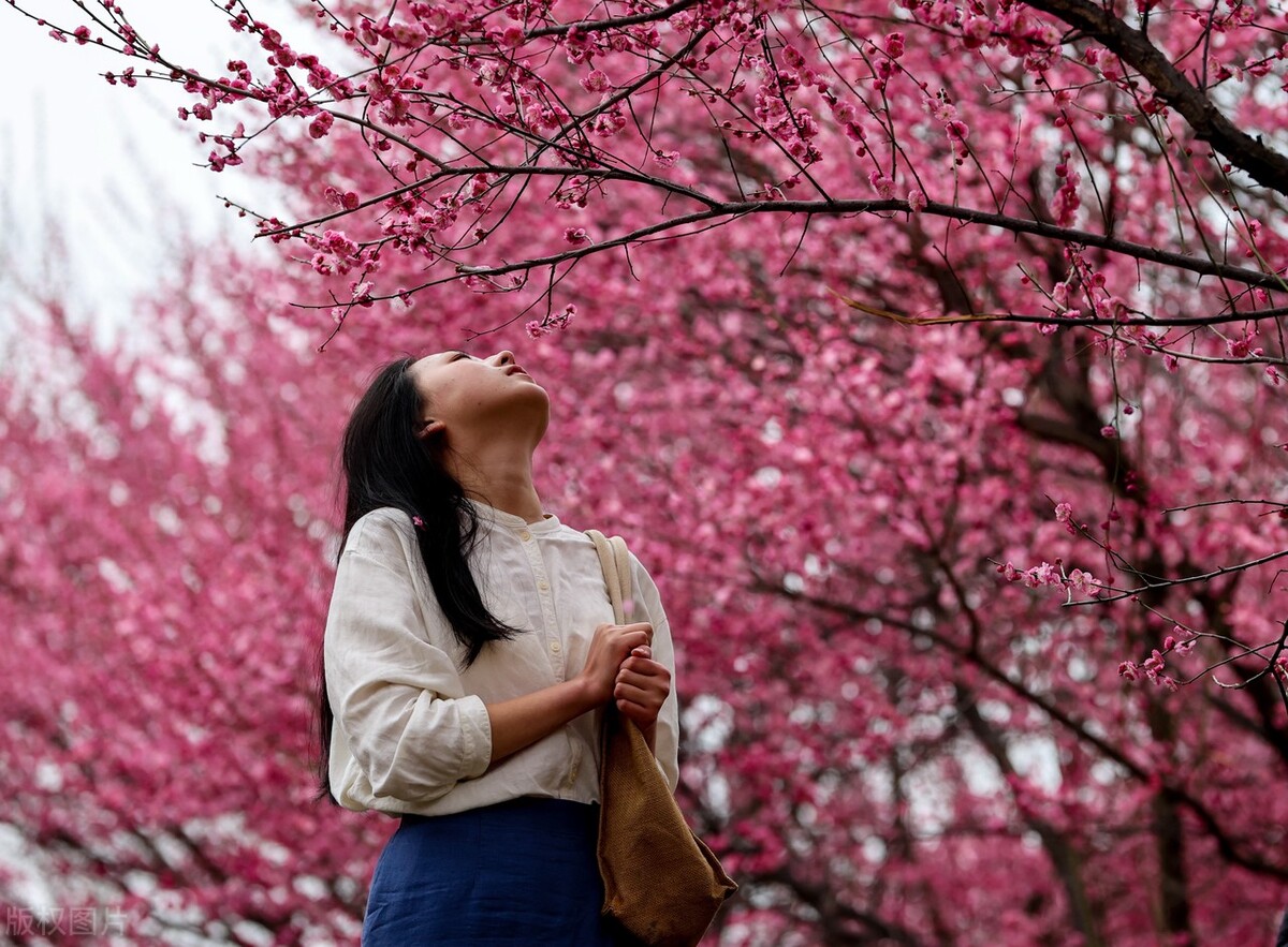 大四用自己的钱买下780万的房子，25岁想退休了，她经历了什么