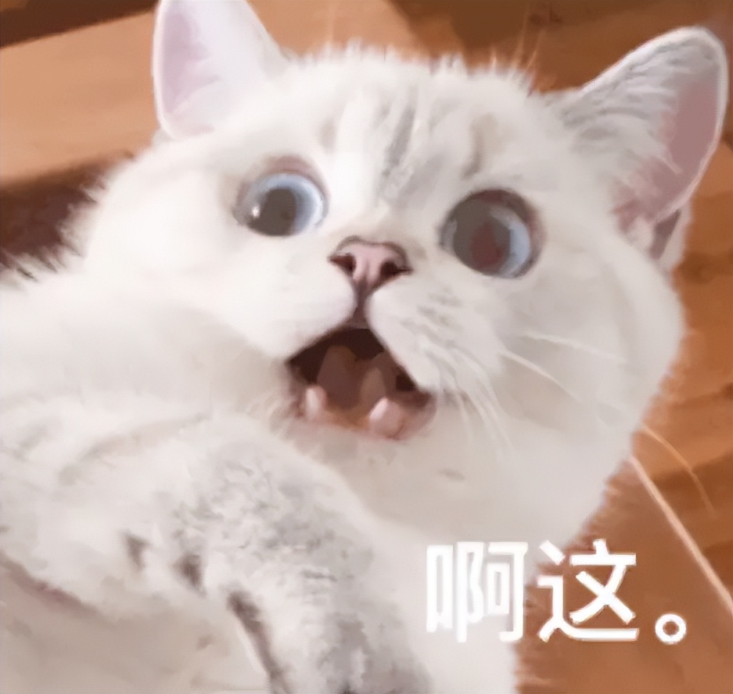 受不了,国综又刷新下限了!