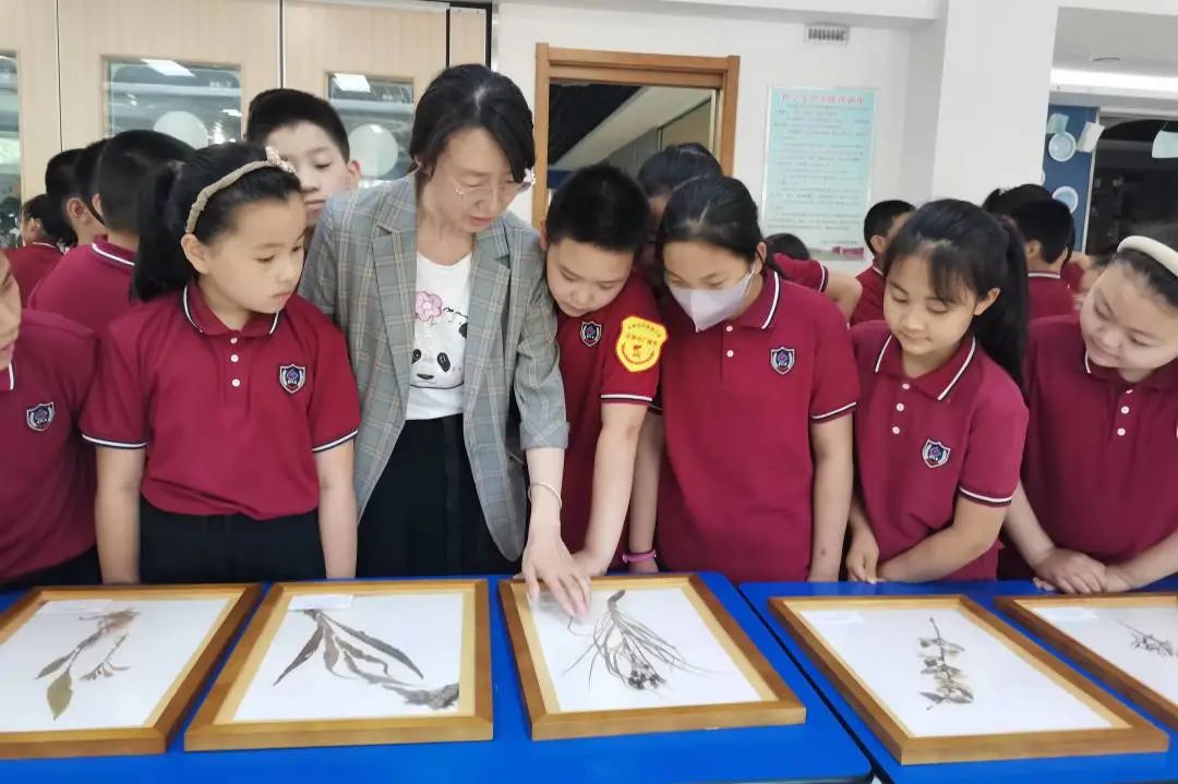 石外2022保送,获奖殊荣