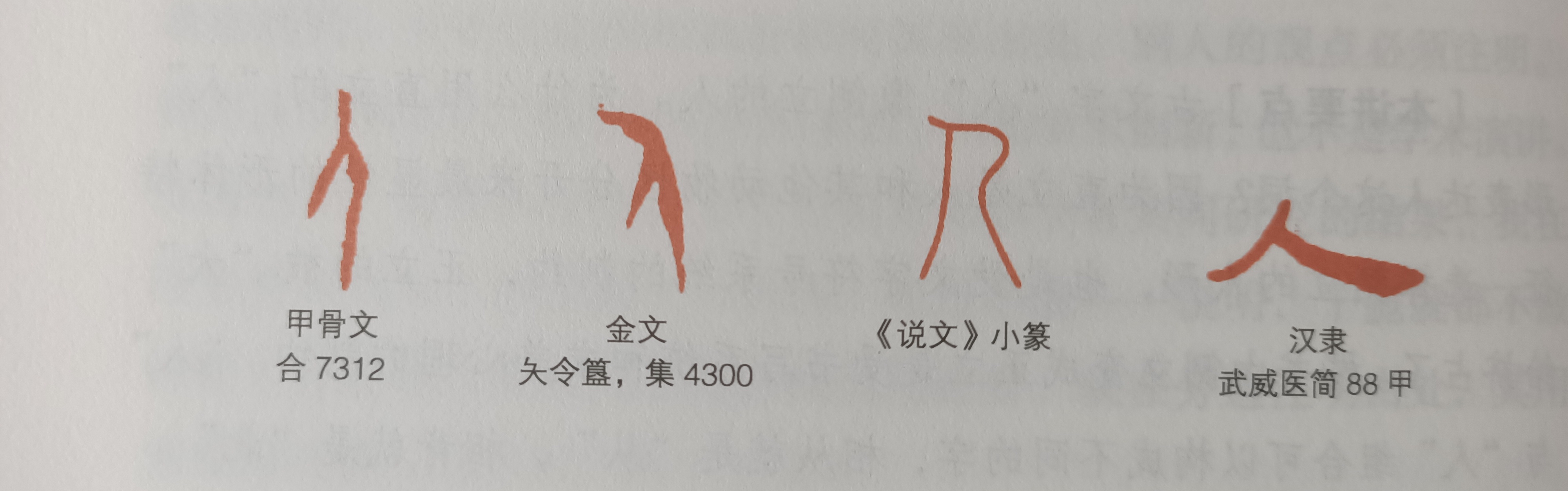 甲骨文确立了汉字的文化基因对吗,传承中国文化汉字