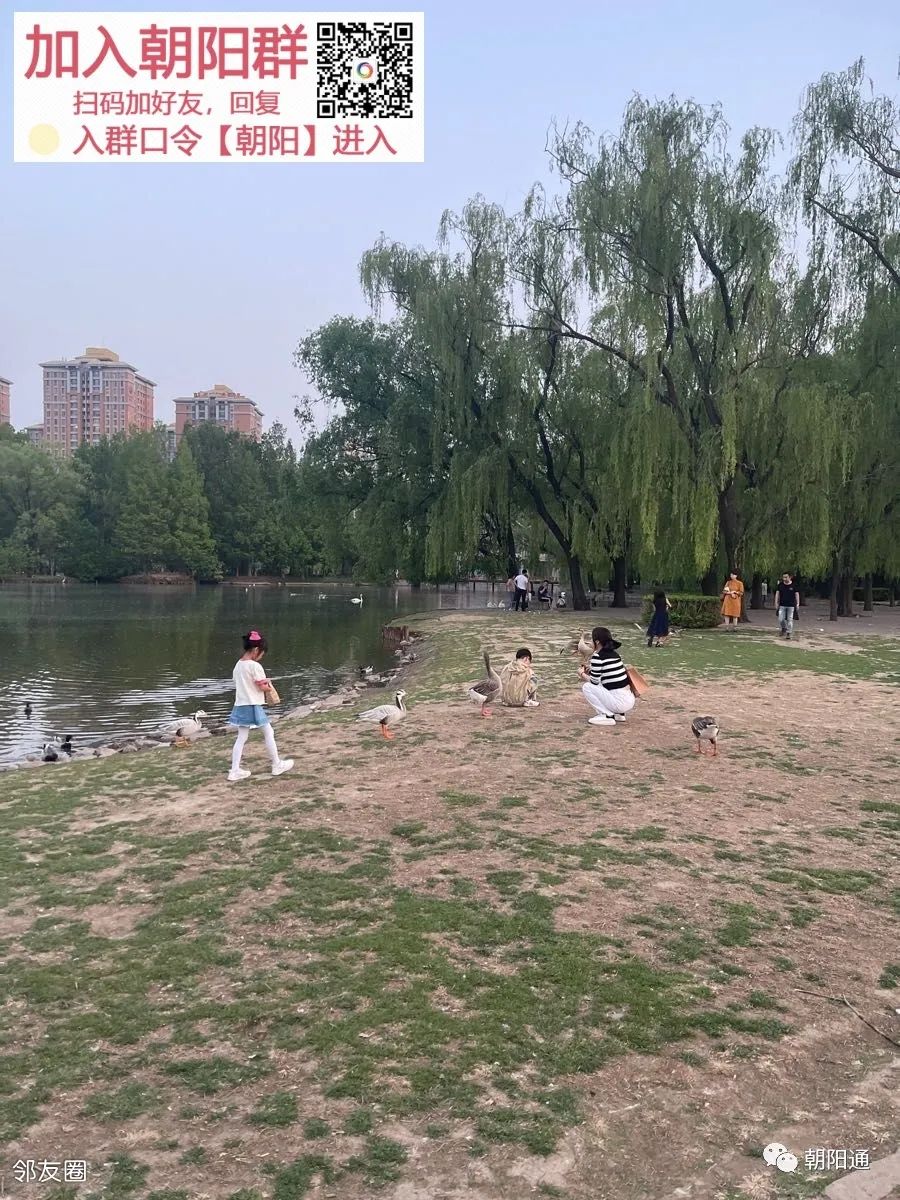 紫玉山庄最新消息今天,紫玉山庄最新动态