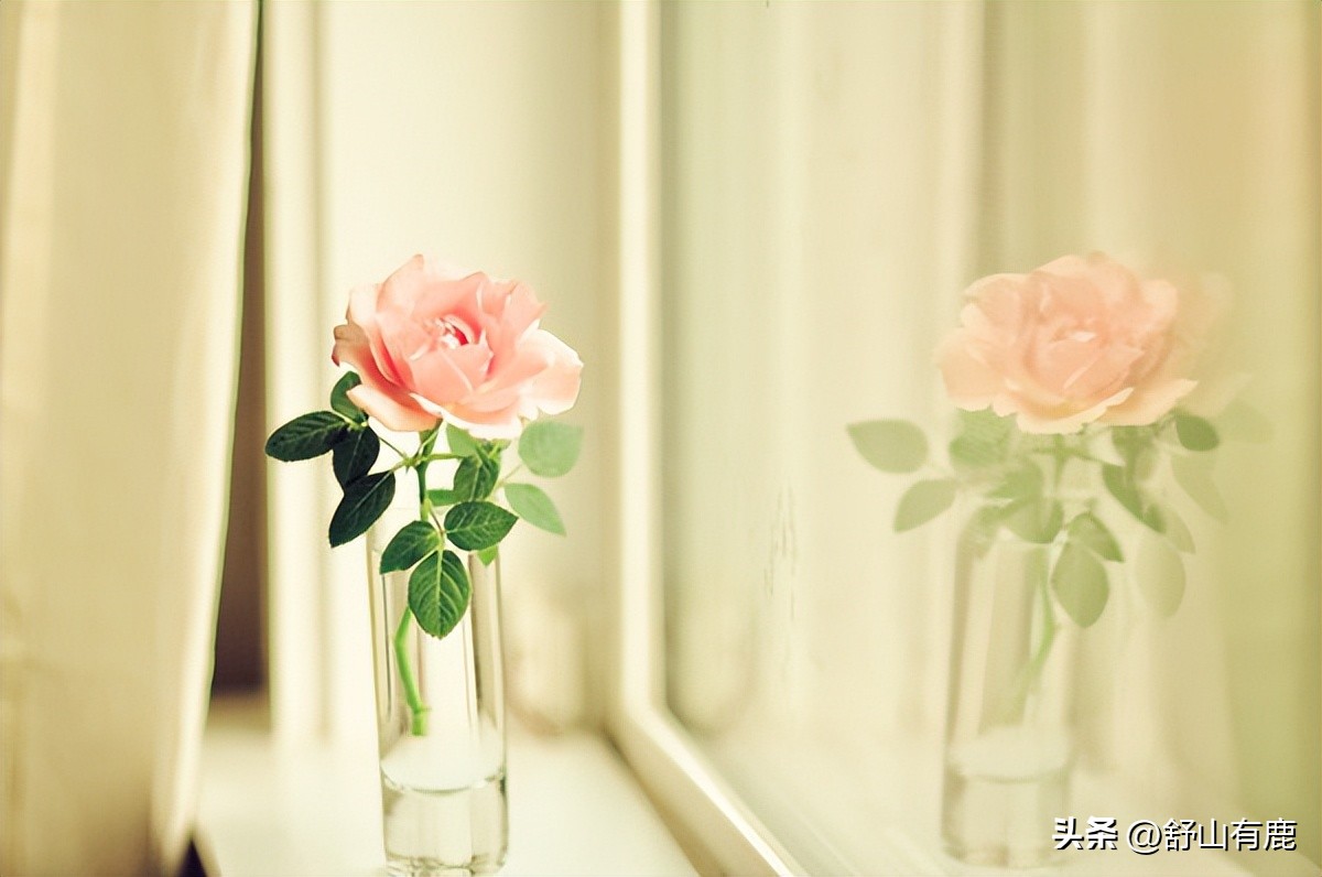 哪十种梦代表好运,人有福气往往生活中做事都很顺利