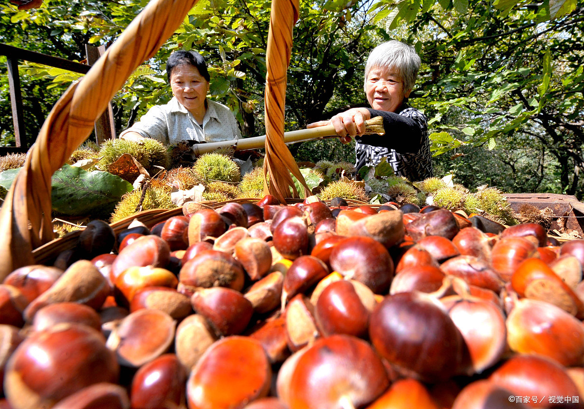 商洛特产小吃介绍,商洛十大特产有花椒吗