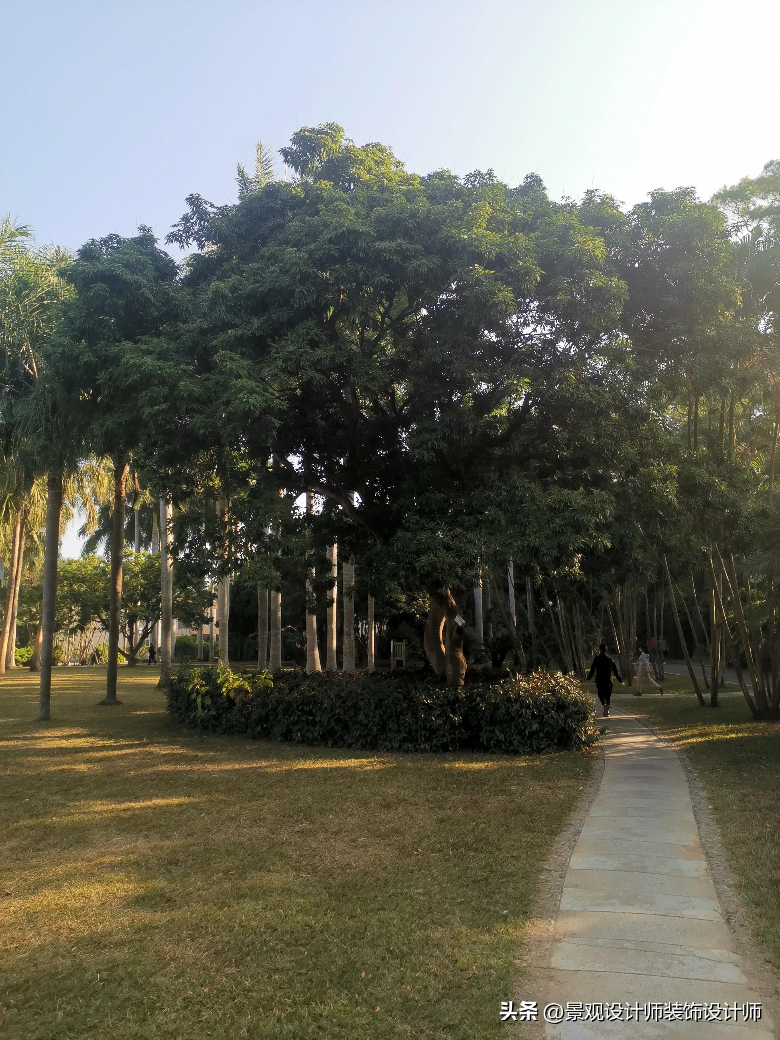 深圳市东湖公园广场舞,深圳市东湖公园收费标准