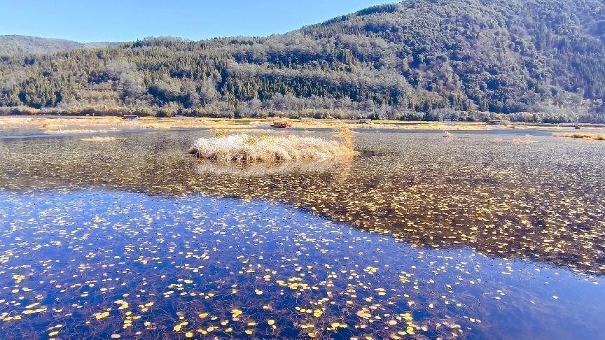 十一月云南旅游攻略腾冲 (从云南腾冲看云南旅游攻略)