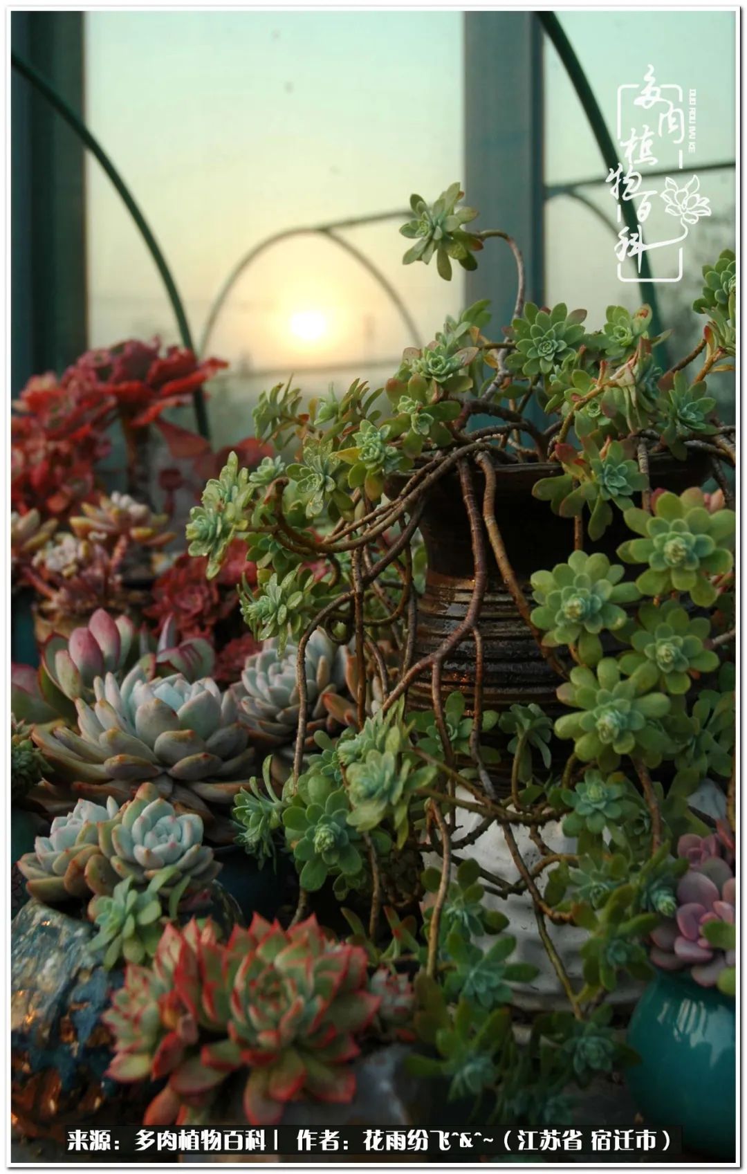 回味童年无忧无虑的快乐时光,童年最快乐的时光