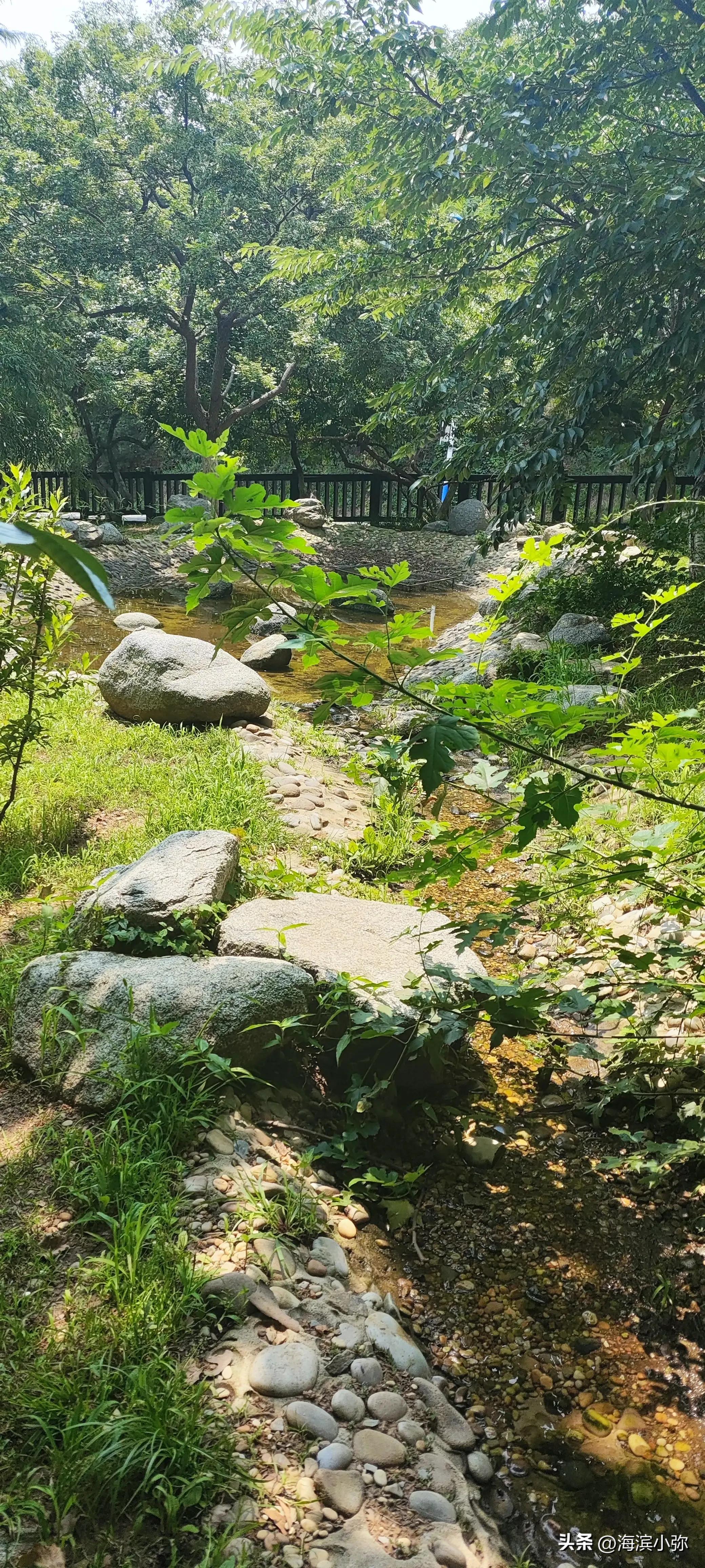 亲身徒步探访东海公园滨海路全纪录（二）