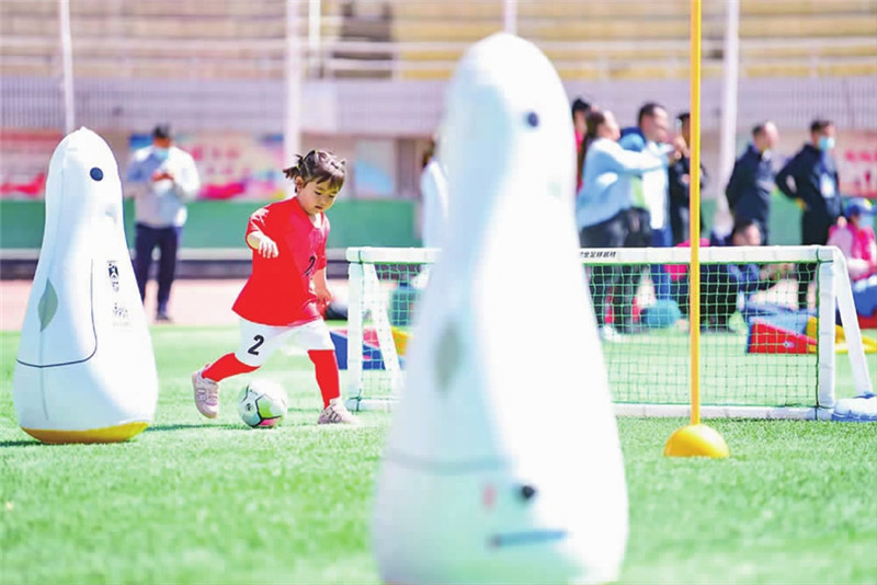 下好四步棋助力乡村振兴,下好法治三步棋