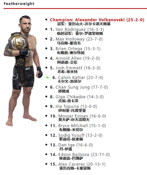 ufc各量级最新排名完整版,ufc各量级排行榜2024