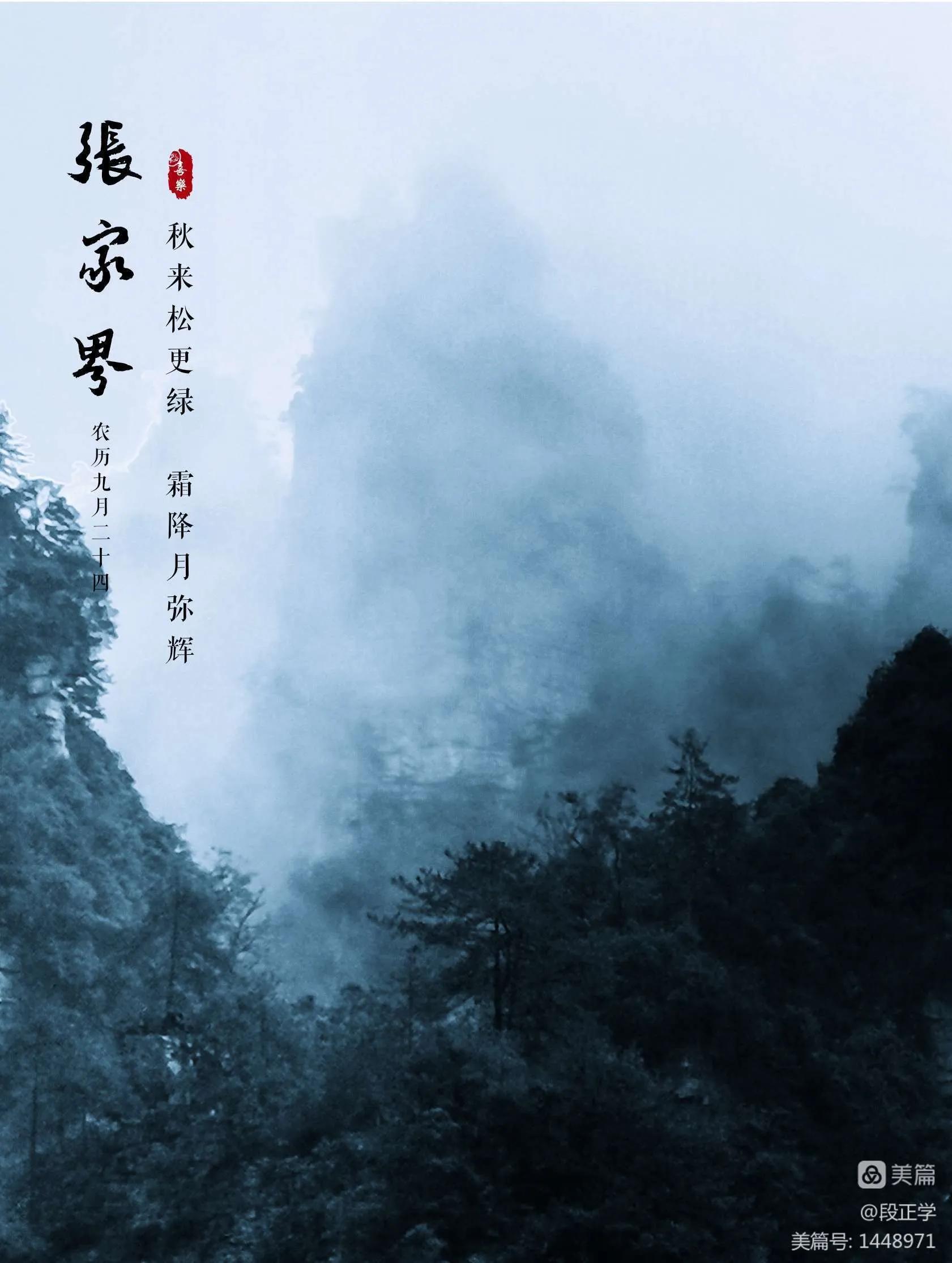 仙境张家界惊艳全世界,张家界的峰林峡谷仙境