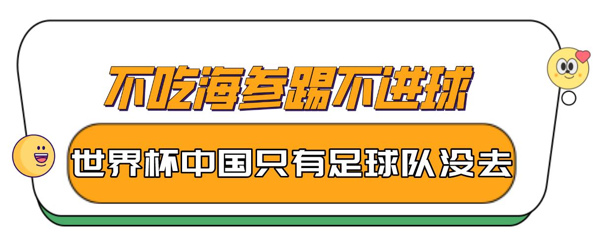 国足0比1卡塔尔韦世豪表现,“退钱哥”：国足踢得丑陋且讽刺