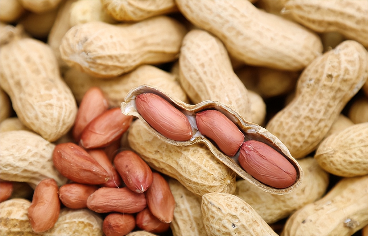 各种豆类杂粮大全,五谷杂粮中的豆类有哪些