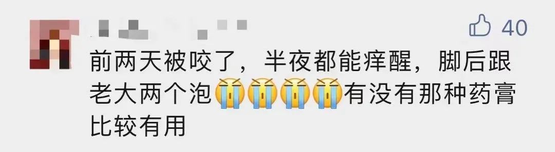 去公园可怕的虫子,去公园如何避免蚊虫叮咬