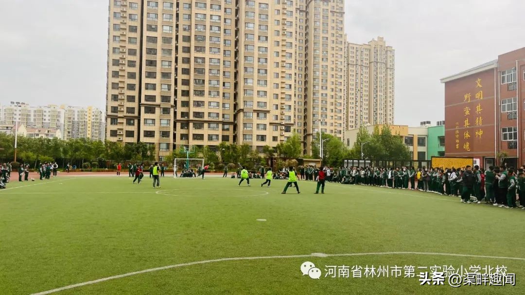 【二实小北校】七彩周记｜一路春暖花开