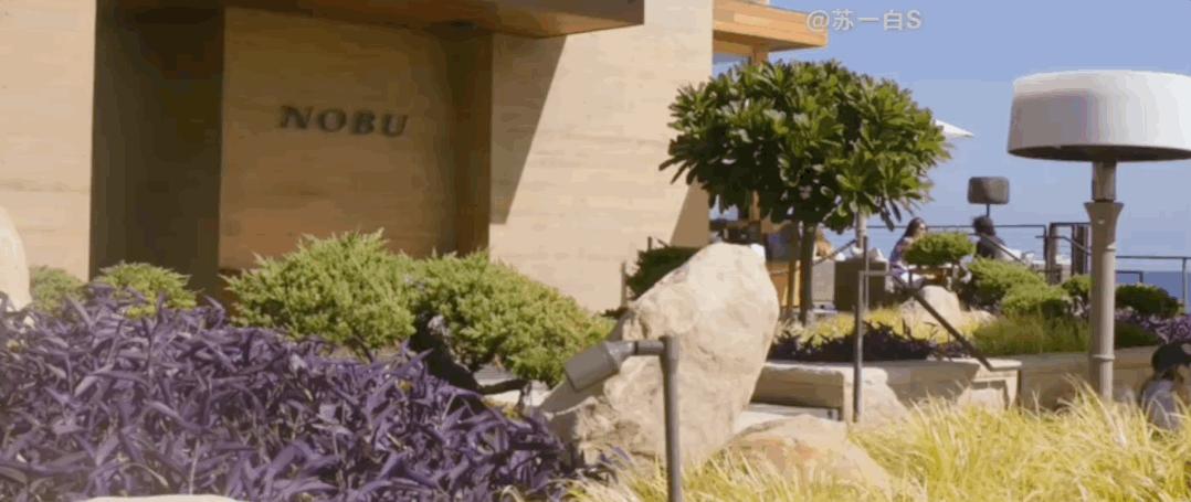 nobu餐厅澳洲,nobu餐厅创始人