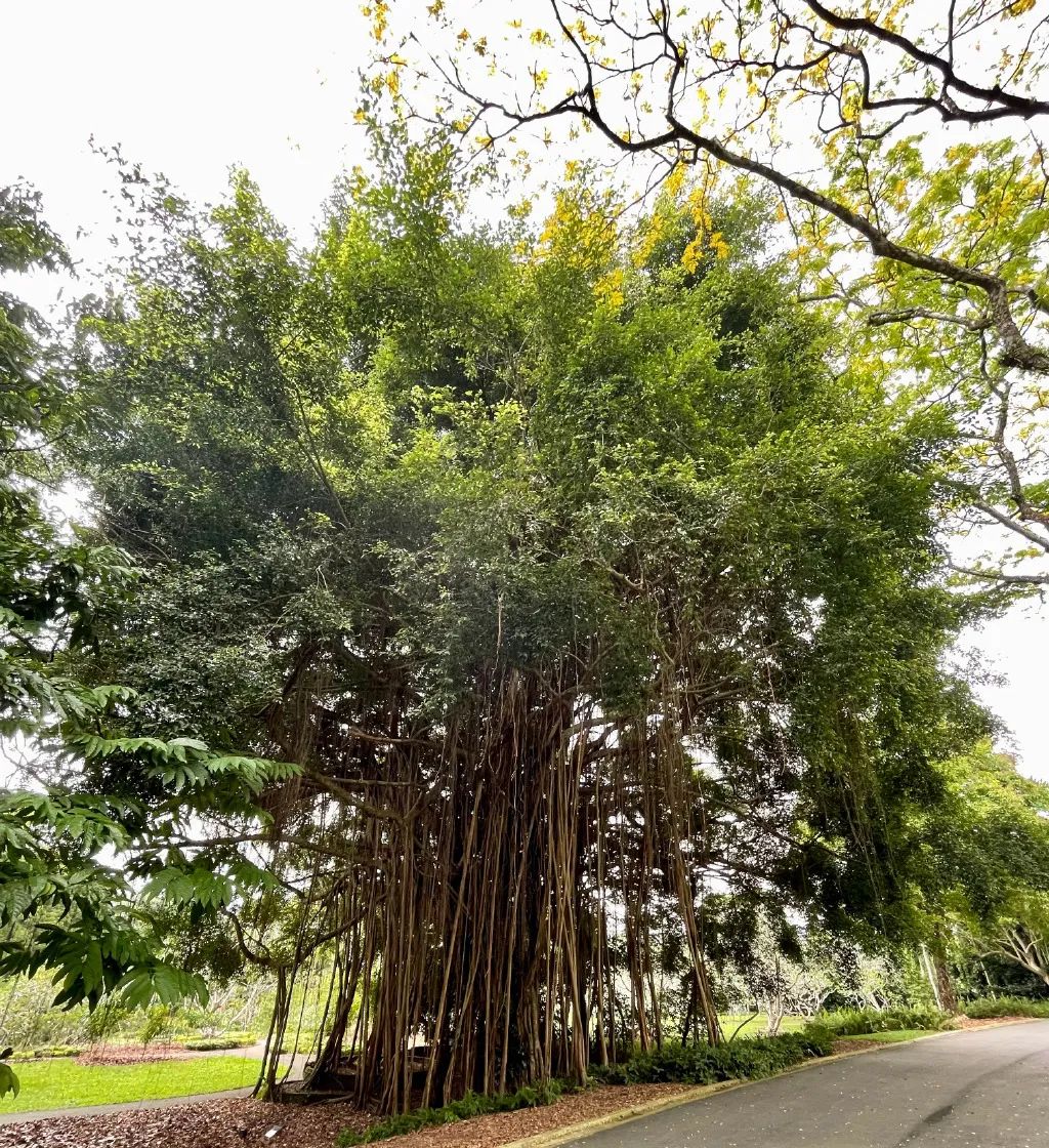 最美的十座园林,中国十大最美园林之留园