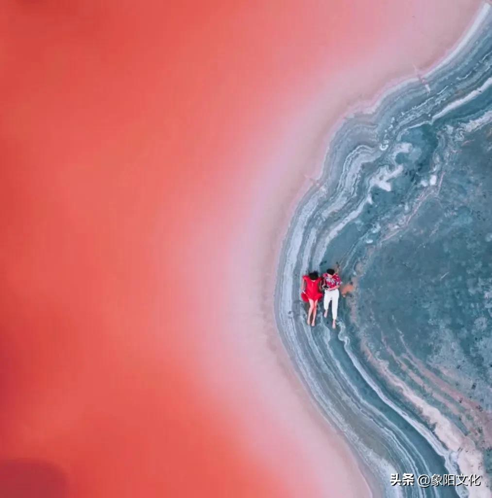 诗词/摄影鉴赏：《不负良人》《迎春花2022》《蓝海芳影》「249」