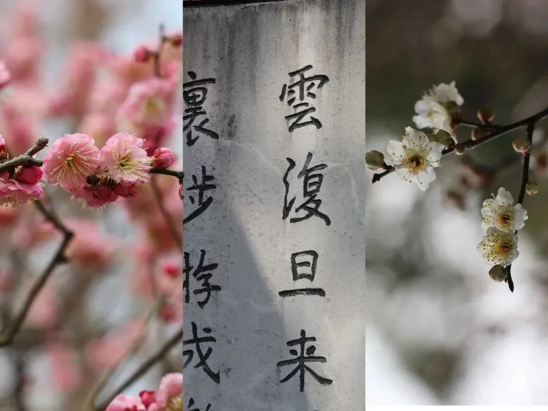 阔别1136天，你需要这份攻略～