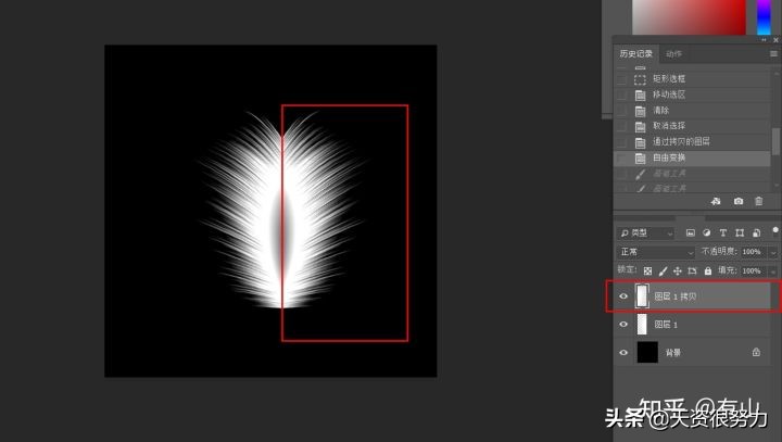 ps怎么制作羽毛动画教程,ps羽毛飞舞特效教程