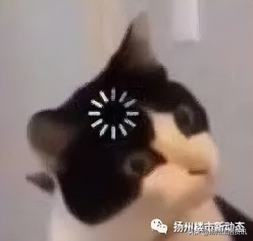 扬州最抗跌的小区,扬州房价下跌最惨一览表