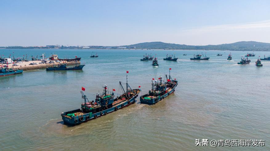 青岛西海岸开海,西海岸开海