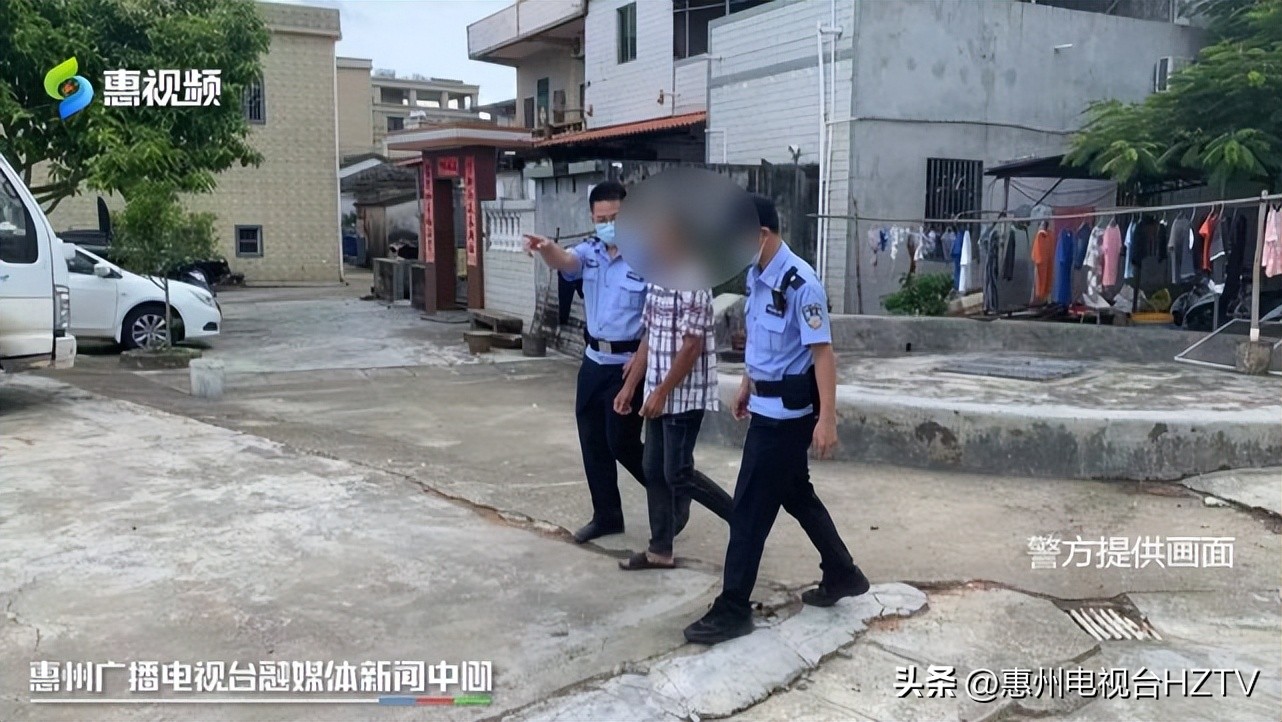 勤劳养蜂人蜜蜂竟被偷,养蜂场偷蜜蜂