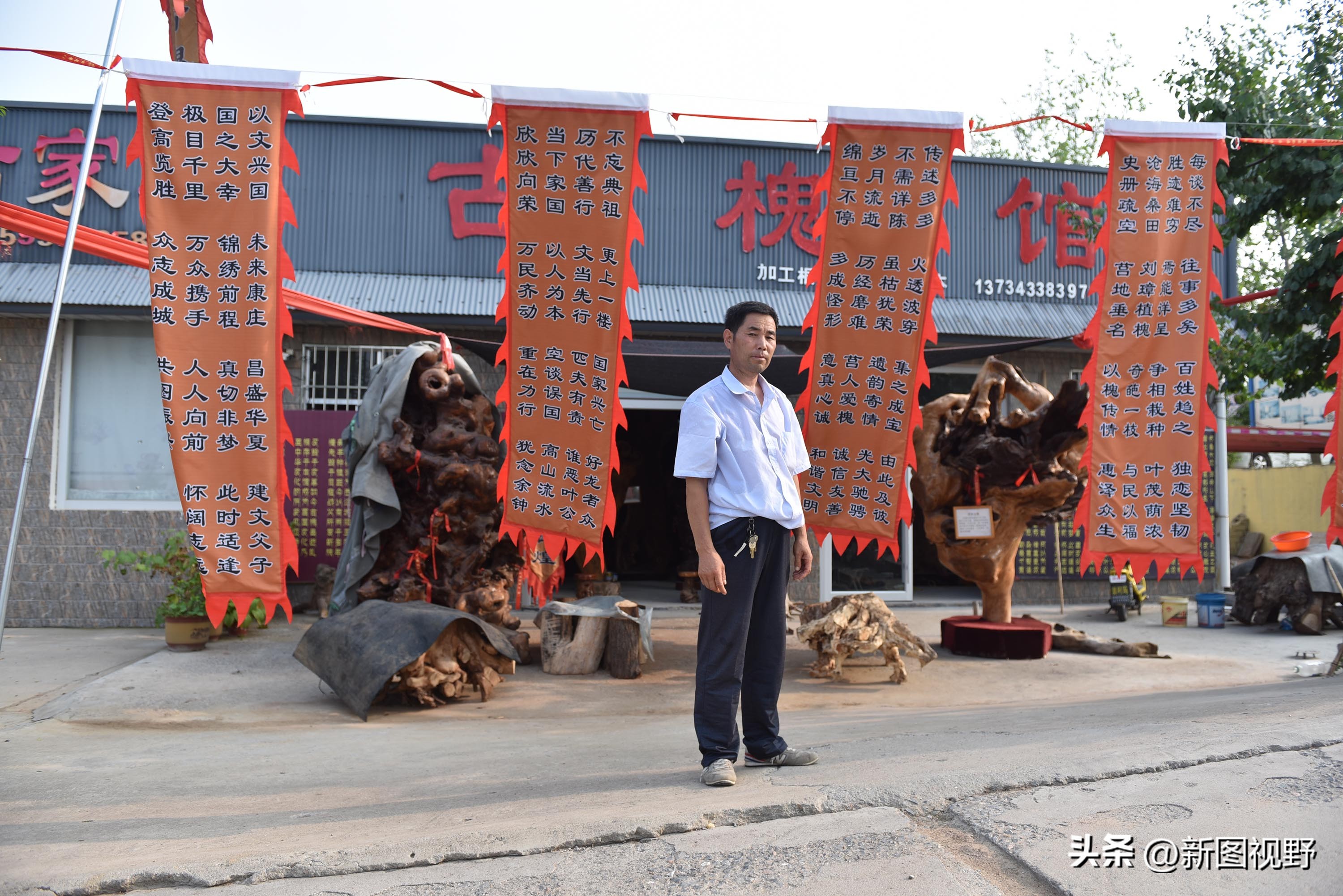 55岁农民，花60万买了一堆古树，每天做着发财梦，睡到自然醒