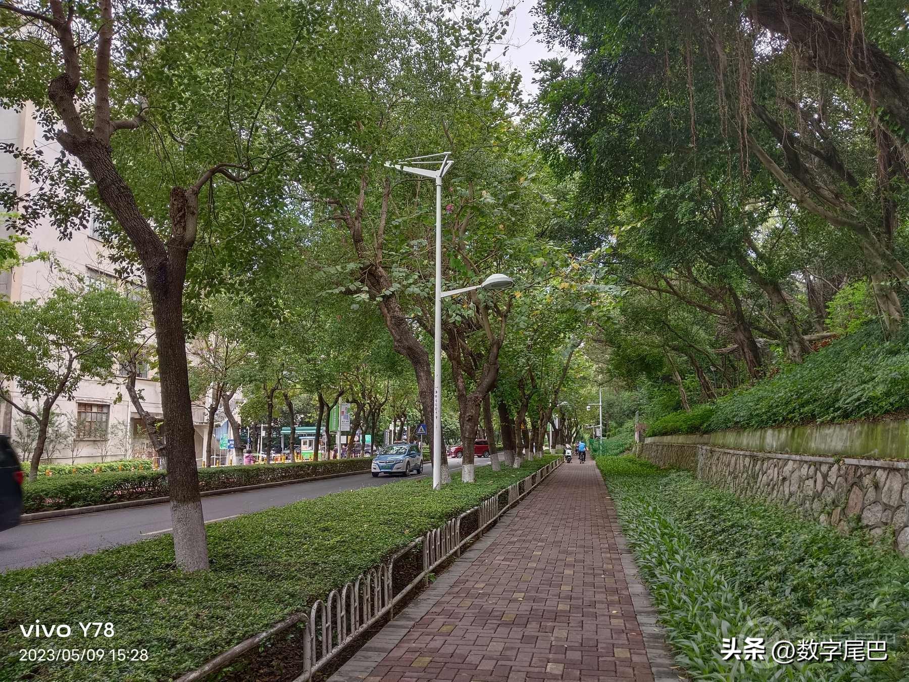 vivoy78测评直屏手机,vivoy78+测评曲面屏