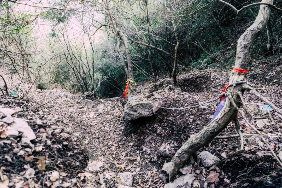 鍏泜绉樺,浠欏眳鍏泜绉樺