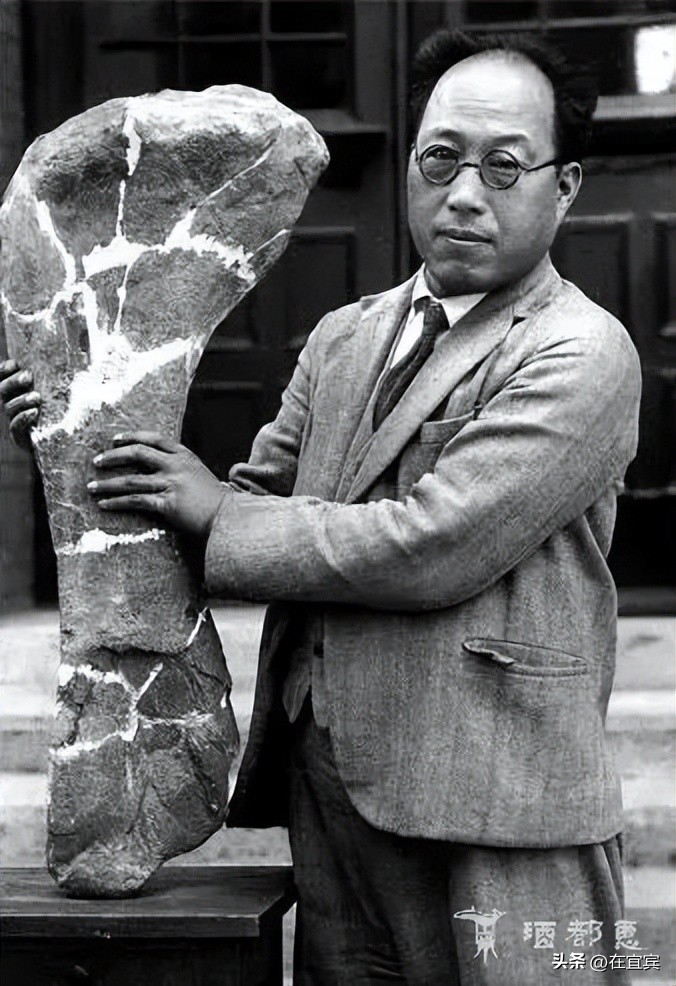 恐龙故乡黑龙江,四川的恐龙之乡