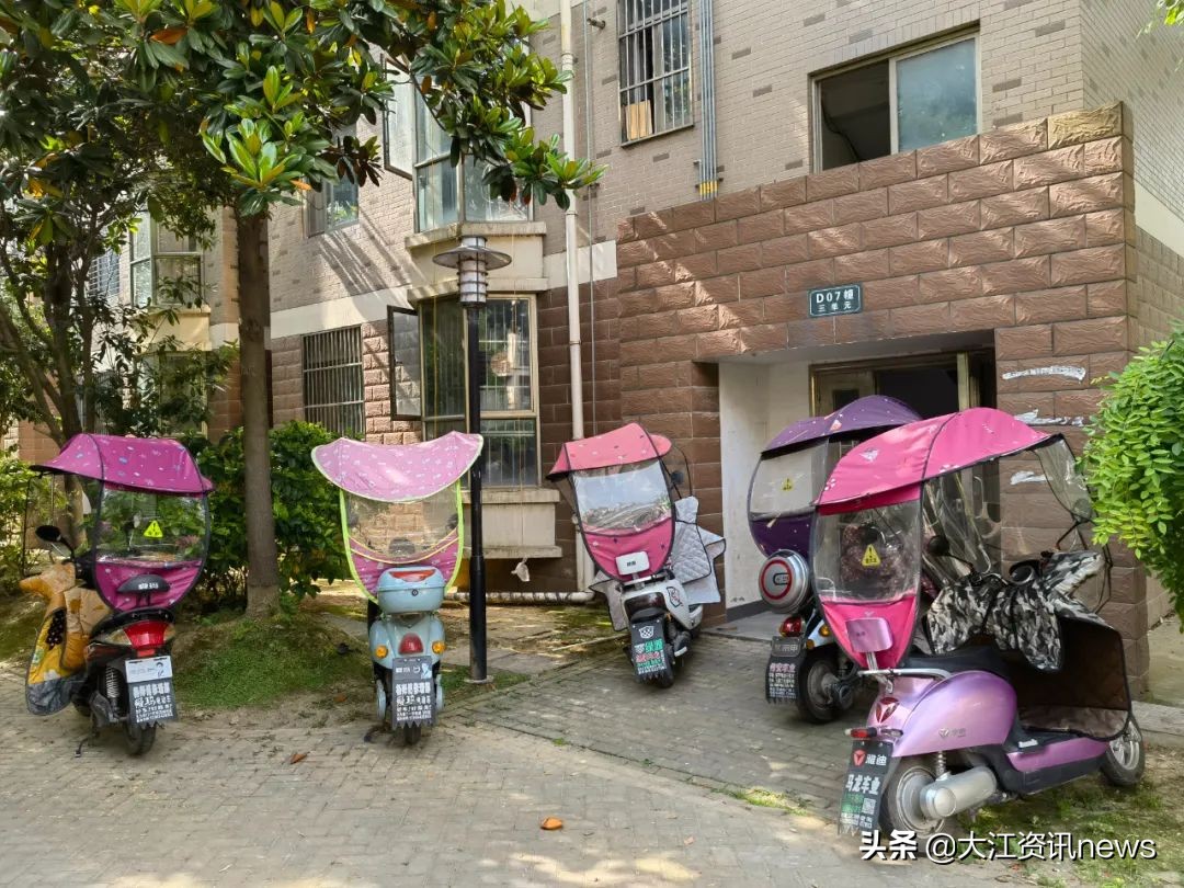 大江资讯芜湖,大江新闻采访