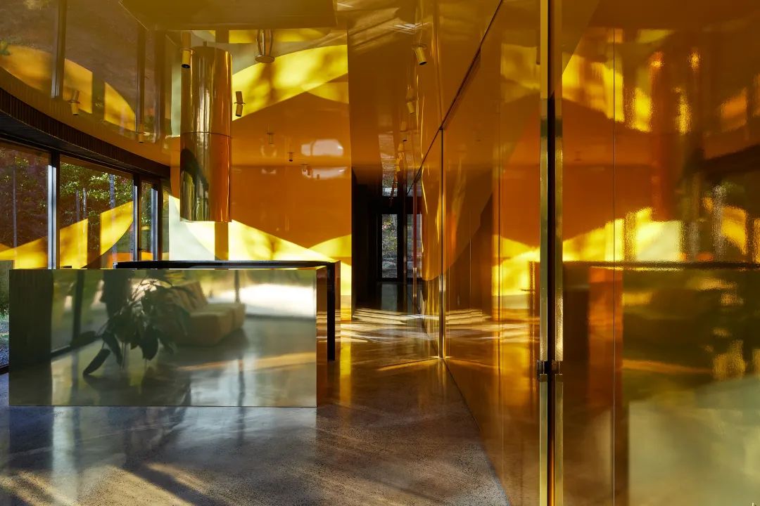 他们把家搬到了森林里，一间森林