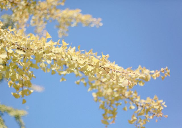 自我提升的8个方法,自我提升的8个好习惯迷茫时看