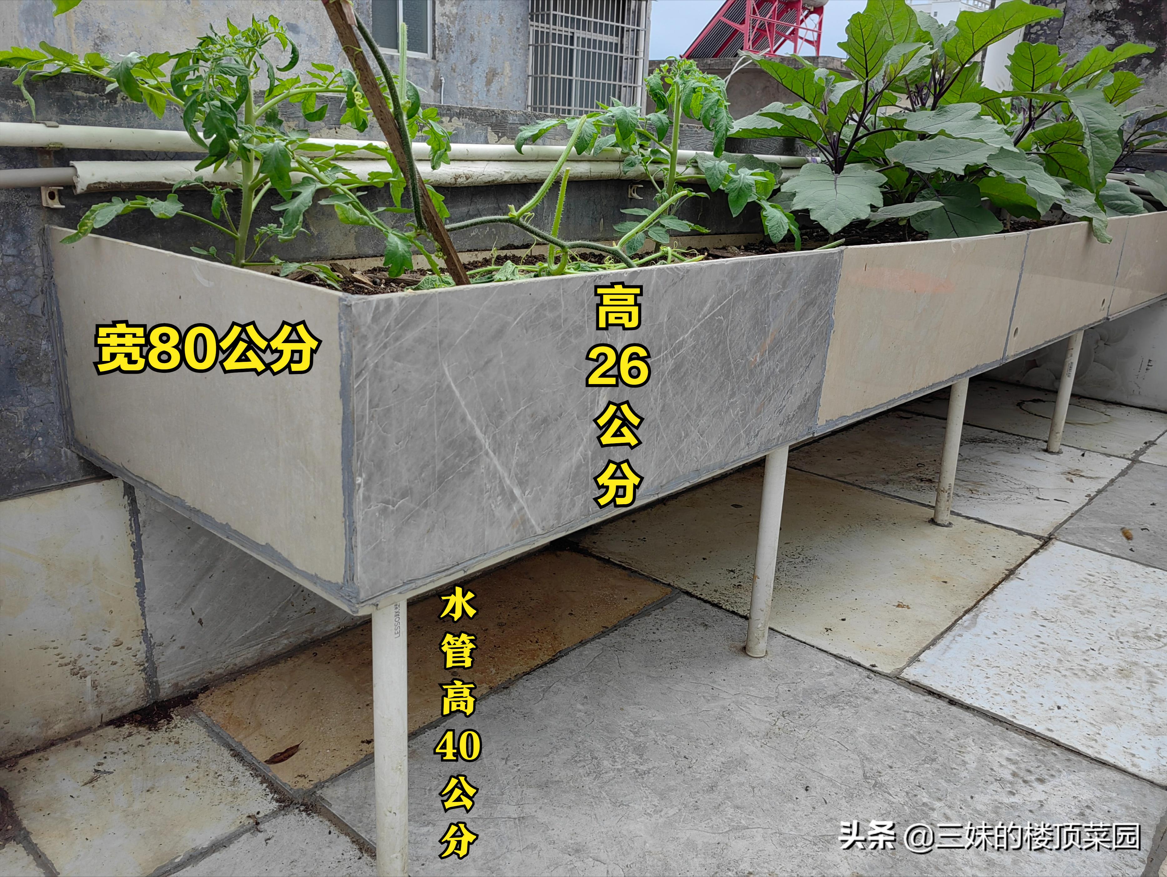 楼顶菜园：用结构粘瓷砖、水管做立体菜池的方法介绍，看你喜欢吗
