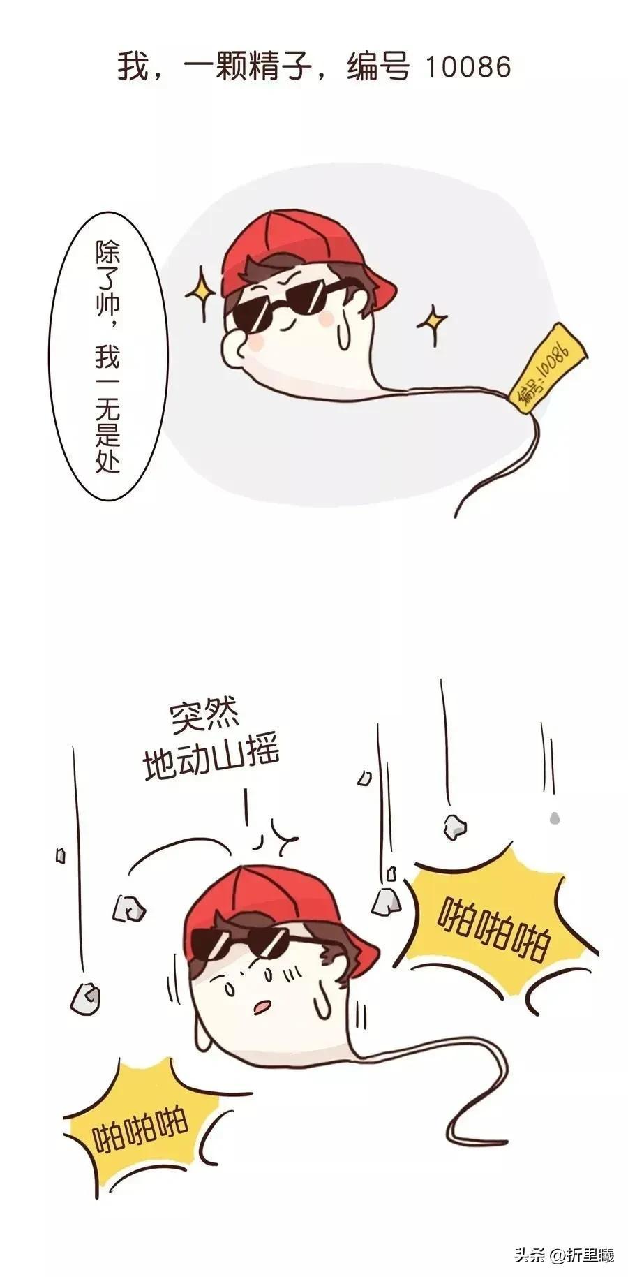 精子进入人体48小时变化,精子在人体24个小时都经历了什么