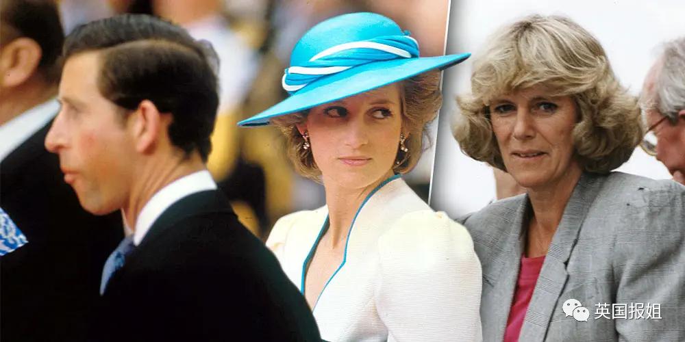 查尔斯另一个结局是什么,查尔斯和戴安娜斗争