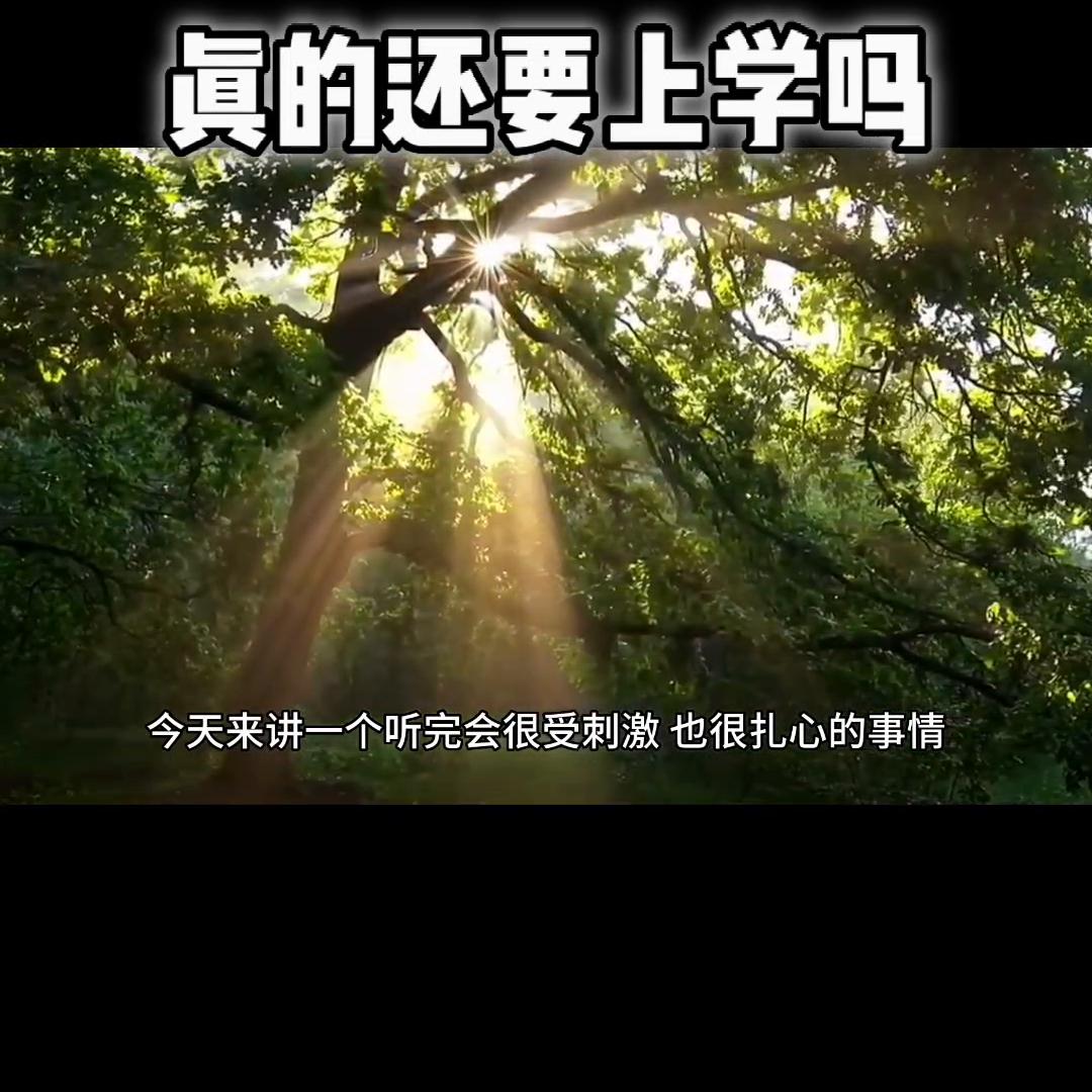 家长的学历对孩子上学有影响吗,学历对小孩上学有帮助吗