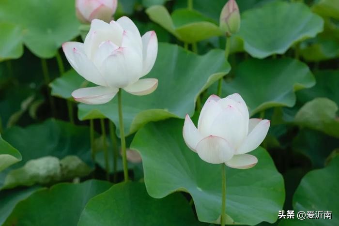 碧落、紫陌、翠微......24个绝美“古称”，一眼万年！