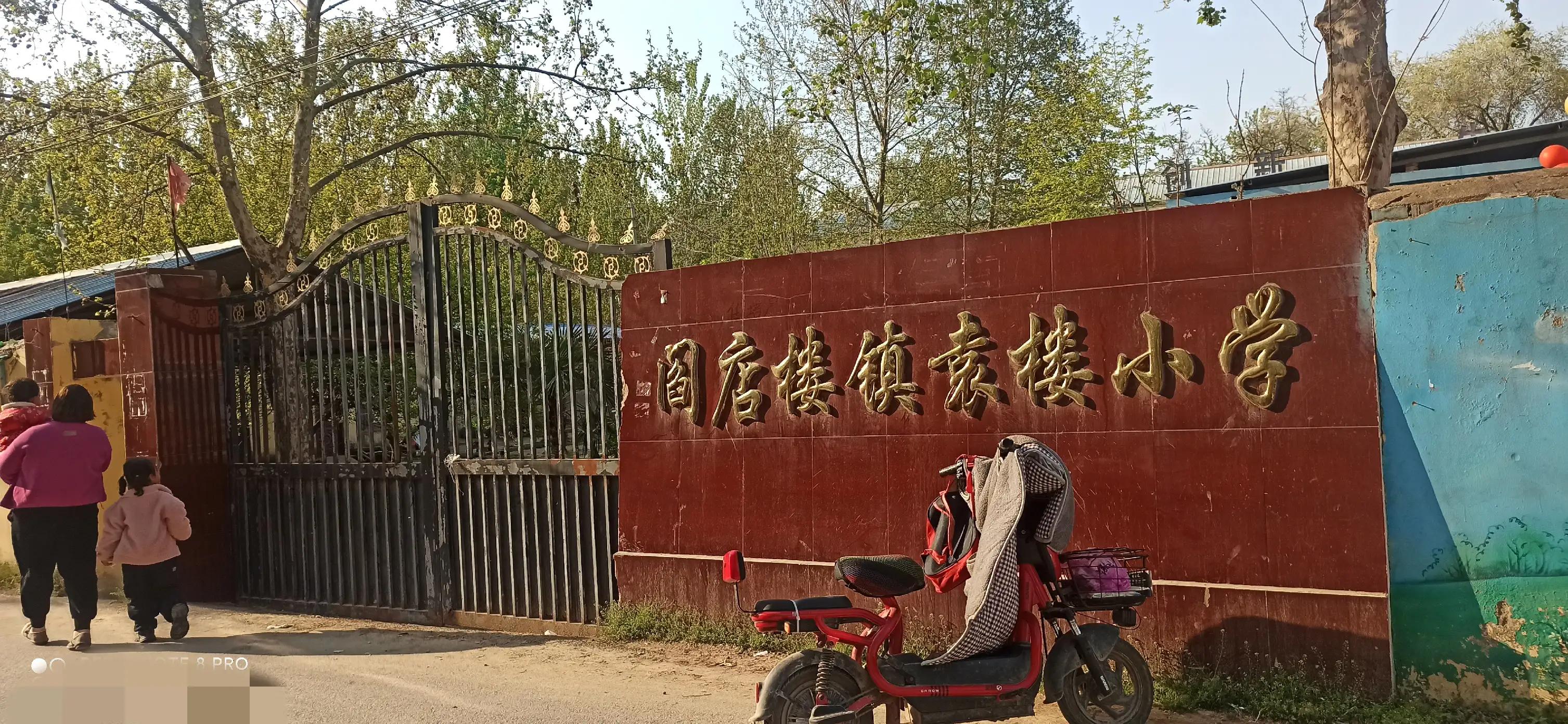 山东曹县为87名无名烈士寻亲找家,曹县孙智敏