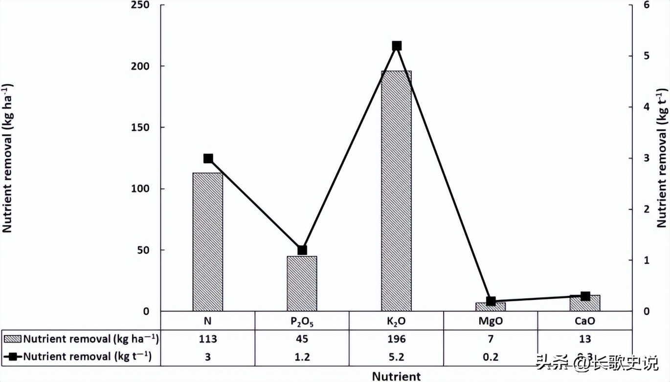 旱作马铃薯栽培技术试验,单垄单行马铃薯高产种植技术