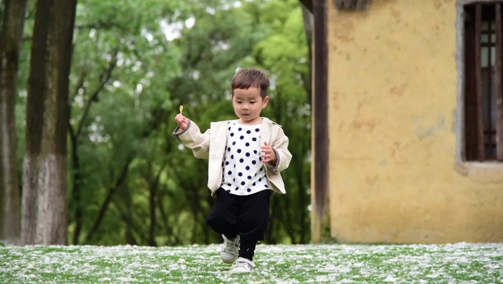 夏日带孩子户外活动当心这种虫,暑期带娃小心毒虫