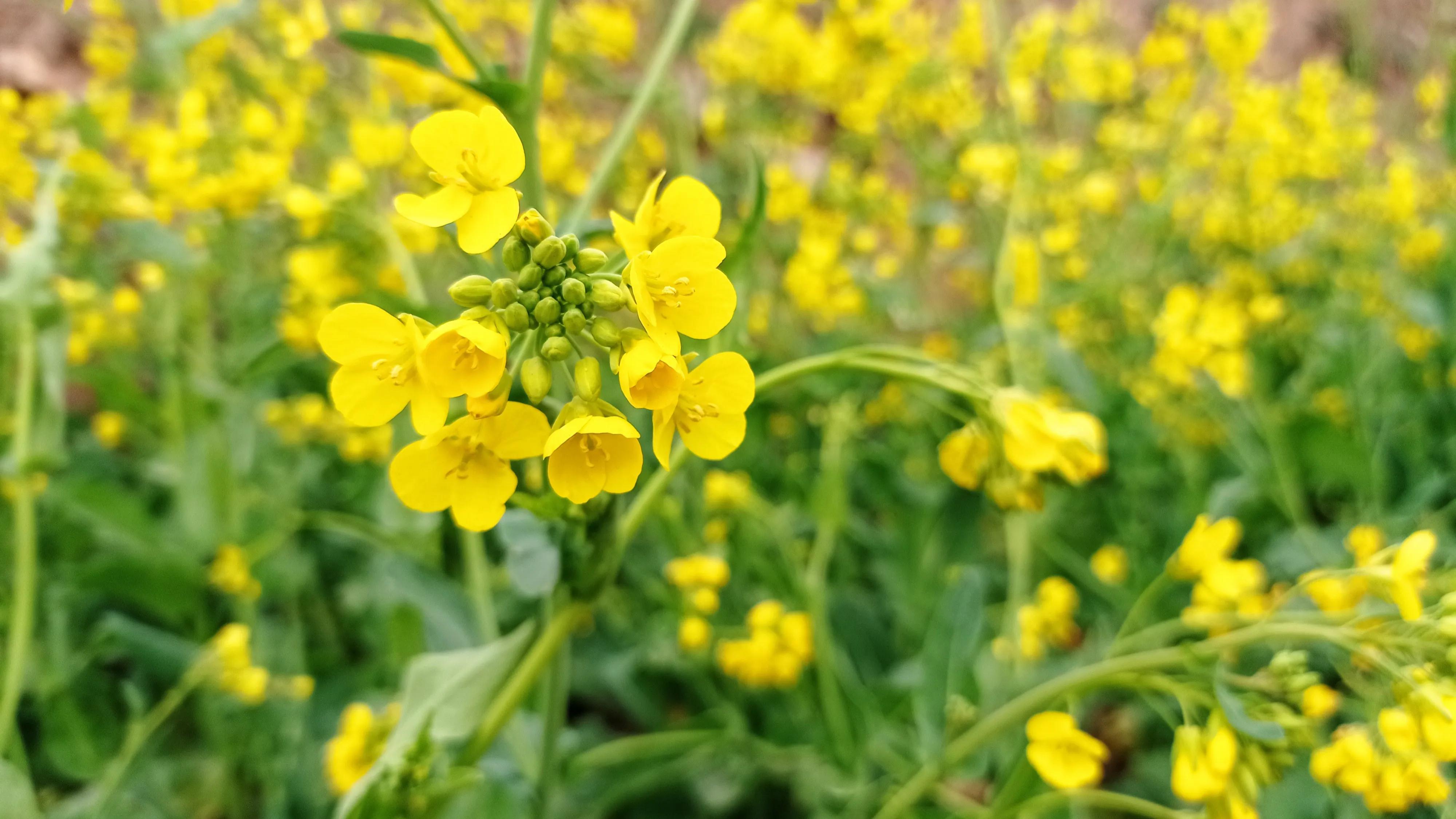 怎么样说话让人听着比较舒服,说话用什么语气能让人听起来舒服