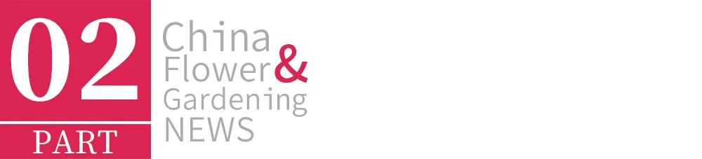 90后小伙打造绿植花卉“云仓”，月发货10万单，销售额超百万元