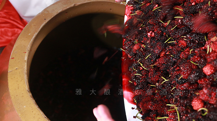 酒厂桑葚酒酿造工艺流程,山江酒业酿酒设备生产和技术培训