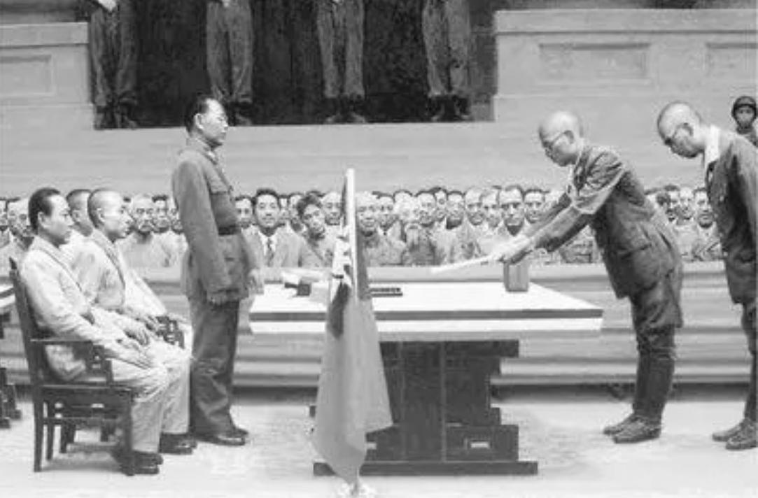 越南之耻：东南亚新兴国家，为何沦为外国人的*欢寻**作乐之地？