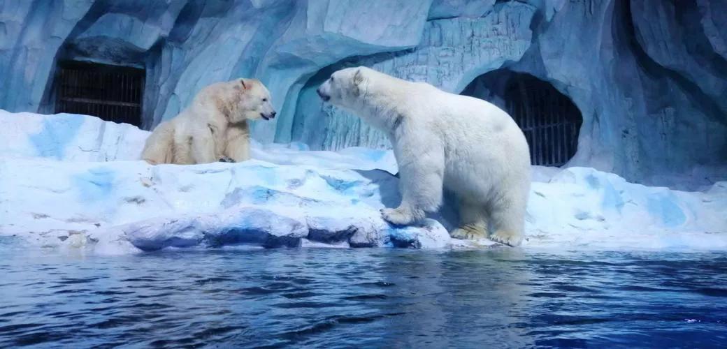 青岛海滨城市的风景,一定要去的沿海城市