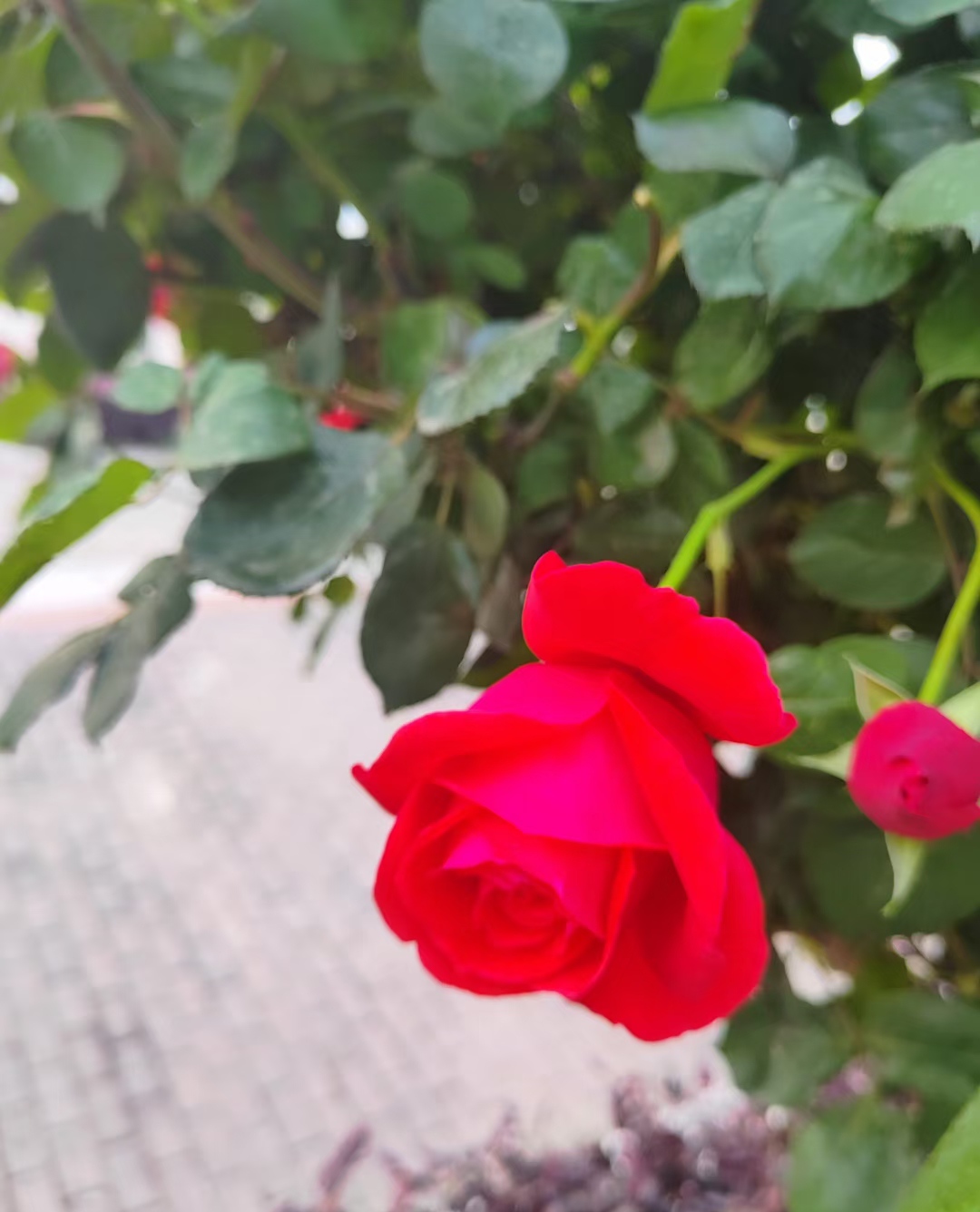 反诈电话提醒是真是假,电话智能反诈功能