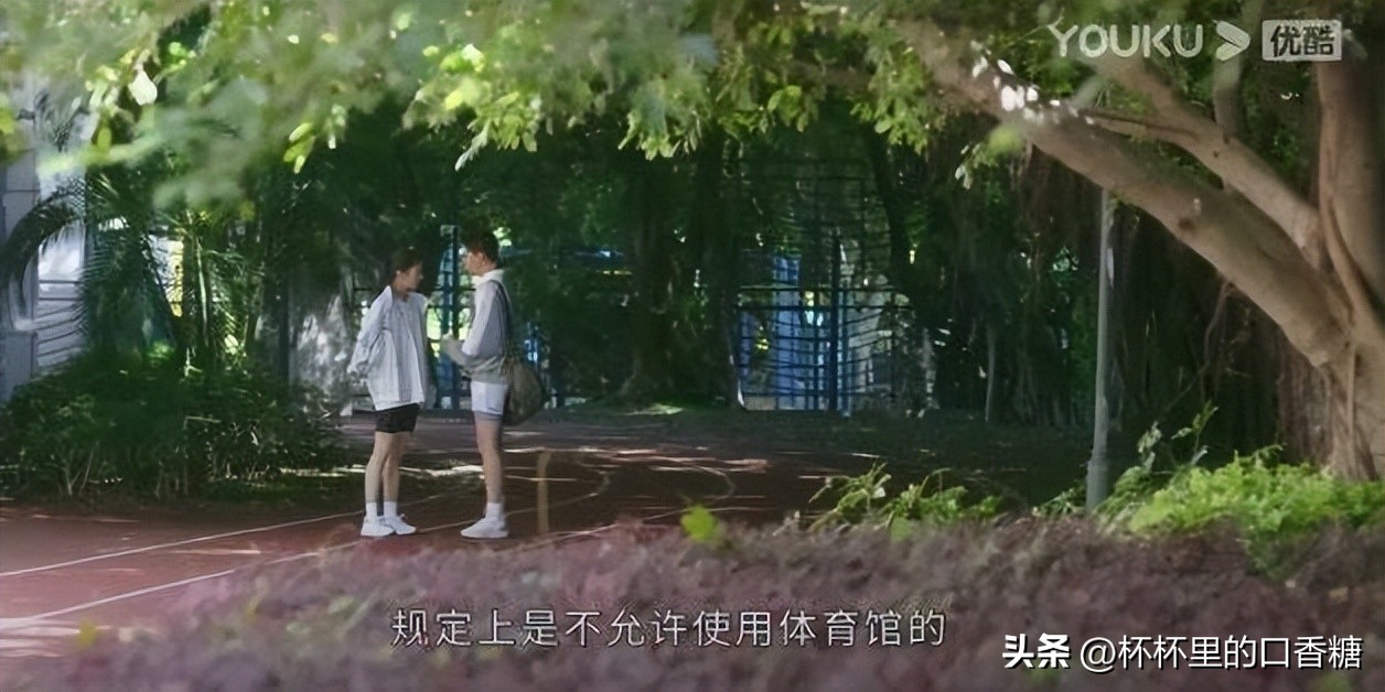 《炽道》金晨×王安宇小说还原！上演引体向上抱抱和墨镜四目相对